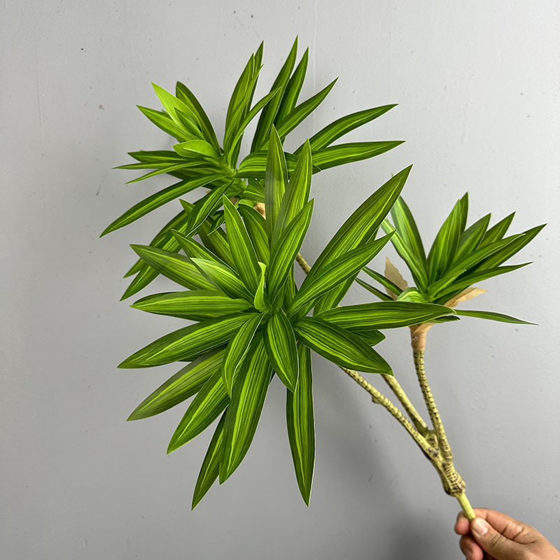 Dracaena Marginata - Simulated Green Plants 3 Heads Lily